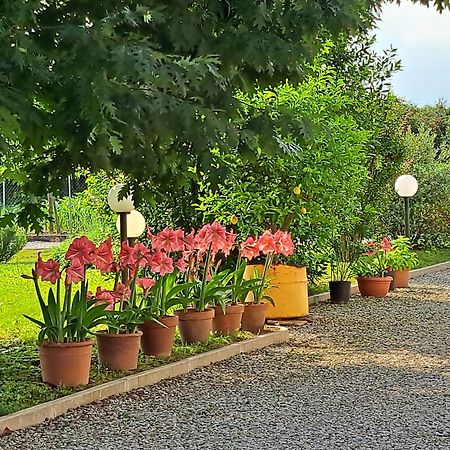 Borgo Barucchella Hotel Sant'Andra Екстериор снимка