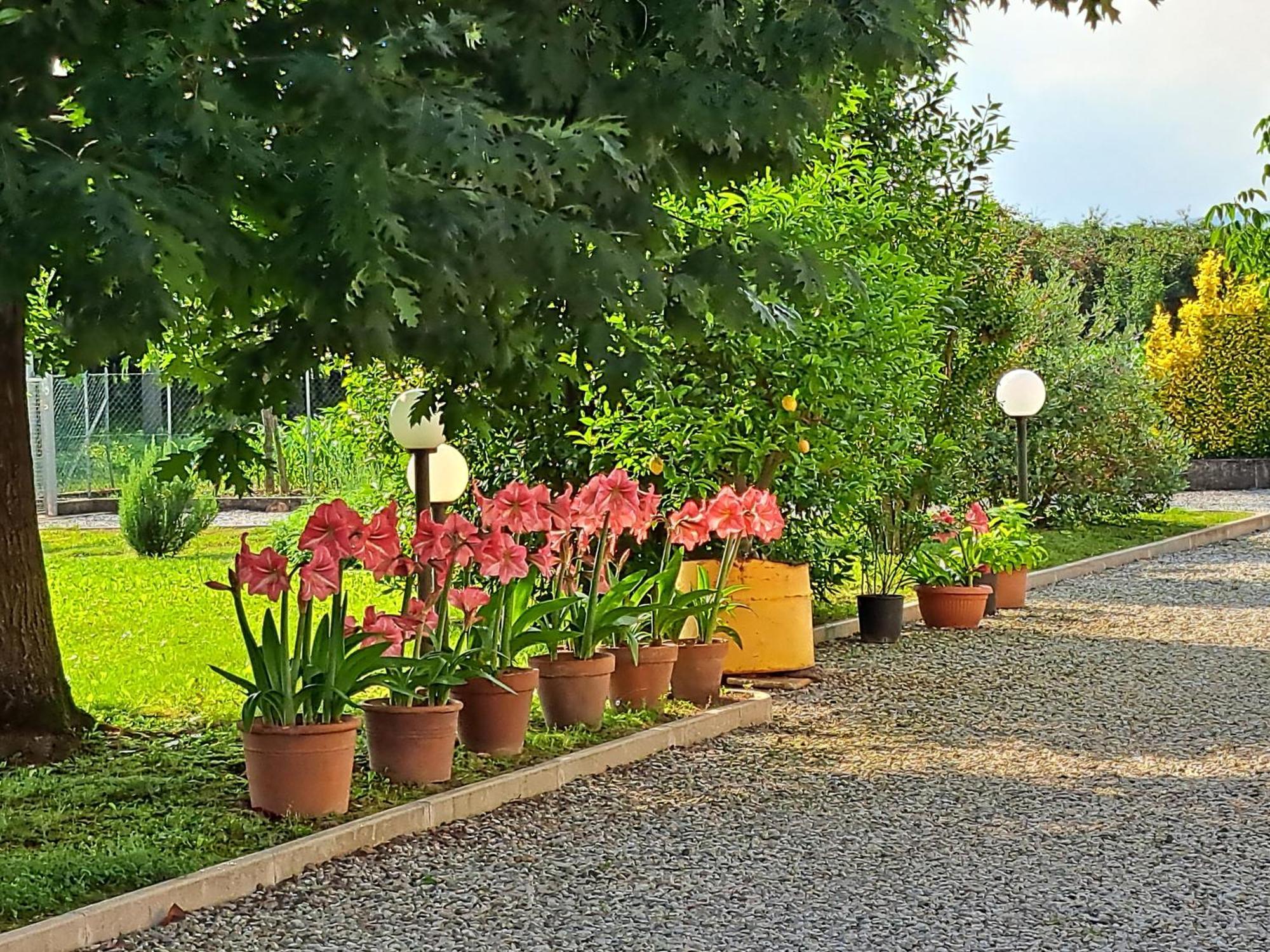 Borgo Barucchella Hotel Sant'Andra Екстериор снимка