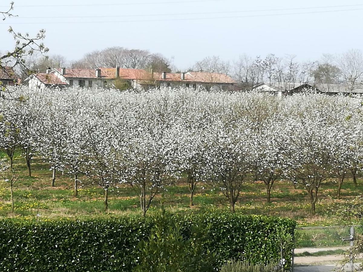 Borgo Barucchella Hotel Sant'Andra Екстериор снимка